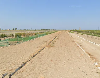 Terreno zona Pantaniello Fiumara in vendita a Barletta