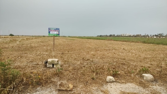 Terreno zona Pantaniello Fiumara a Barletta