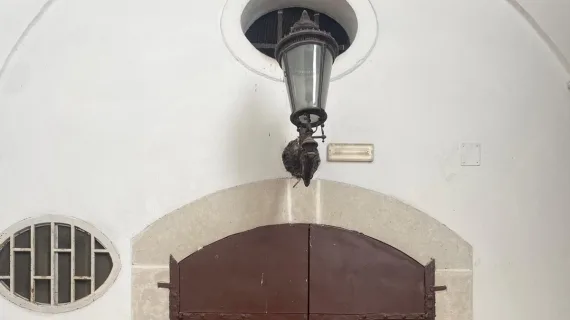 Ampio Magazzino / Cantina d'Epoca per Olio e Vino (117 mq) – Ideale per Affinamento, Stoccaggio Alimentare e Deposito Merci (Barletta - Corso Cavour) a Barletta